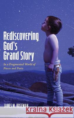 Rediscovering God's Grand Story James M Roseman 9781498243131