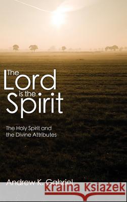 The Lord is the Spirit Andrew K Gabriel 9781498258296