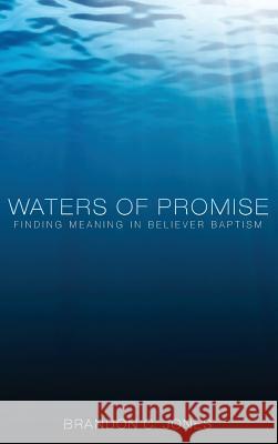 Waters of Promise Brandon C Jones 9781498261432