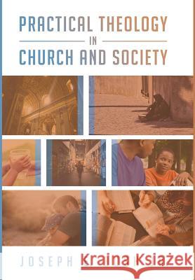 Practical Theology in Church and Society Joseph E Jr Bush 9781498282765