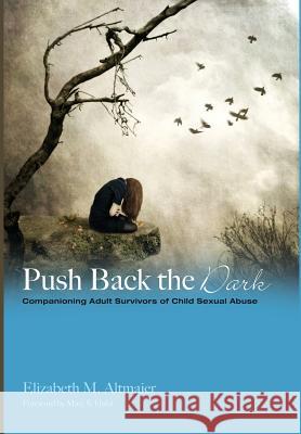 Push Back the Dark Professor of Psychology Elizabeth M Altmaier (University of Iowa), Mary S Hulst 9781498284790 Cascade Books