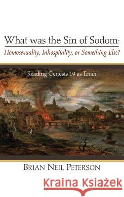 What was the Sin of Sodom: Homosexuality, Inhospitality, or Something Else? Brian Neil Peterson 9781498291842 Resource Publications (CA)