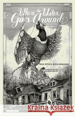 Where the Water Goes Around Bill Wylie-Kellermann Gloria House 9781498296496 Cascade Books