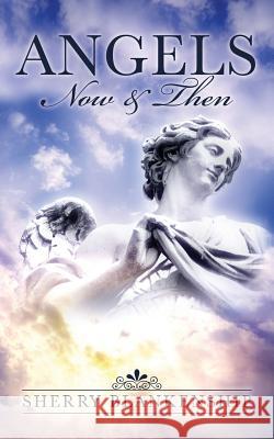 Angels: Now & Then Sherry Blankenship 9781498401050