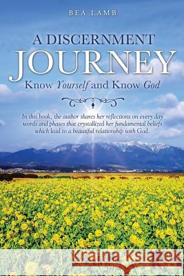 A Discernment Journey Bea Lamb 9781498402408