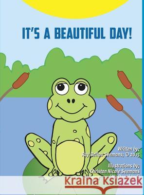 It's a Beautiful Day Ray Seemans 9781498447249 Xulon Press