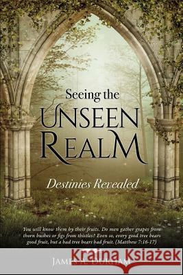 Seeing the Unseen Realm James A Durham 9781498473880