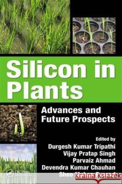 Silicon in Plants: Advances and Future Prospects Durgesh Kumar Tripathi Vijay Pratap Singh Parvaiz Ahmad 9781498739498