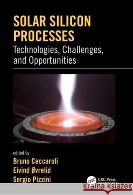 Solar Silicon Processes: Technologies, Challenges, and Opportunities Bruno Ceccaroli Eivind Ovrelid Sergio Pizzini 9781498742658