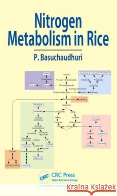 Nitrogen Metabolism in Rice Pranab Basuchaudhuri 9781498746670 CRC Press