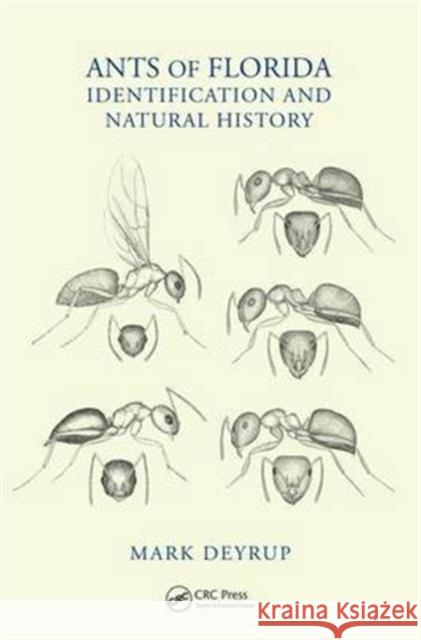 Ants of Florida: Identification and Natural History Mark Deyrup 9781498754675 CRC Press