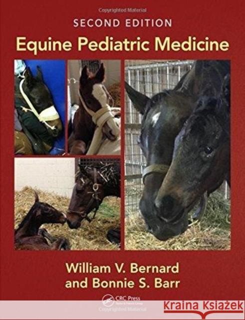 Equine Pediatric Medicine William V. Bernard Bonnie S. Barr 9781498776004 CRC Press