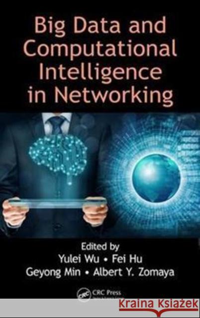 Big Data and Computational Intelligence in Networking Yulei Wu Fei Hu Geyong Min 9781498784863 CRC Press