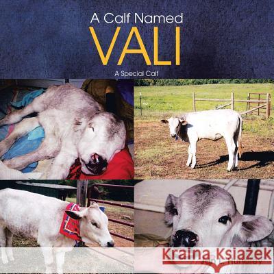 A Calf Named Vali: A Special Calf Jan L. Hundley 9781499009446