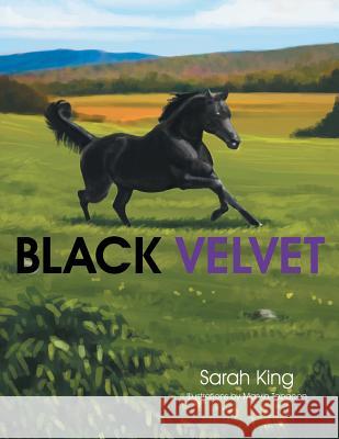 Black Velvet Sarah King 9781499015843 Xlibris Corporation