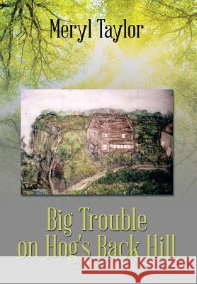 Big Trouble on Hog's Back Hill Meryl Taylor 9781499016864