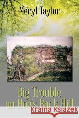 Big Trouble on Hog's Back Hill Meryl Taylor 9781499016871