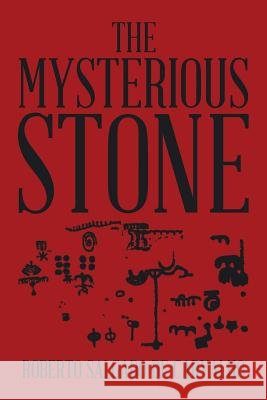 The Mysterious Stone Roberto Salgado D 9781499076660