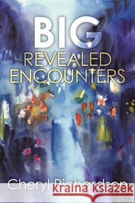 Big Revealed Encounters Cheryl Richardson 9781499082593 Xlibris Corporation