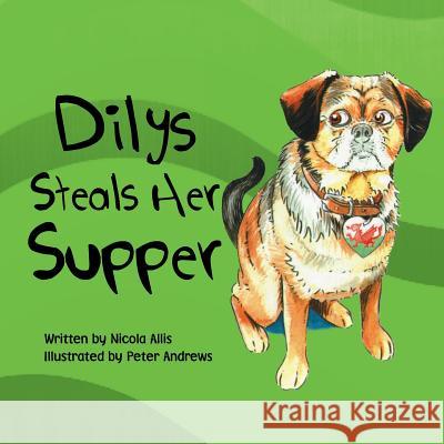 Dilys Steals Her Supper Nicola Allis 9781499087338