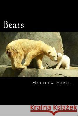 Bears: A Fascinating Book Containing Bear Facts, Trivia, Images & Memory Recall Quiz: Suitable for Adults & Children Matthew Harper 9781499110814 Createspace