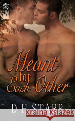 Meant For Each Other Starr, D. H. 9781499174793 Createspace