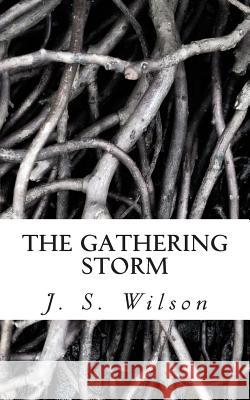 The Gathering Storm J. S. Wilson 9781499177022 Createspace