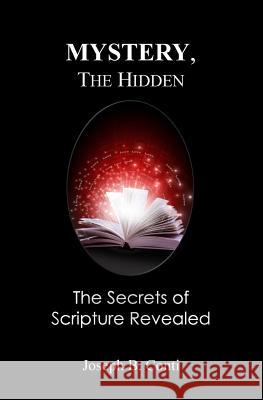 Mystery, the Hidden: The Secrets of Scripture Revealed Joseph B. Conti 9781499185423 Createspace