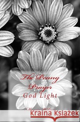 The Penny Prayer: God Light Marcia Wilson 9781499213461