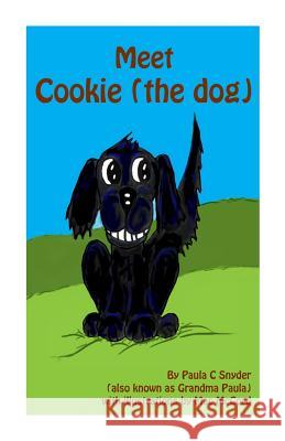 Meet Cookie (the dog): Illustrated song & Picturebook McCord, Mac 9781499243819