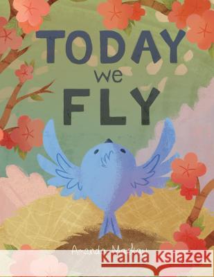 Today We Fly Miss Amanda MacKay Miss Amanda MacKay 9781499282184 Createspace