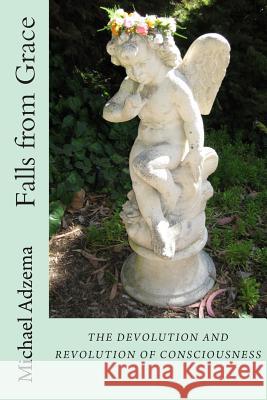 Falls from Grace: The Devolution and Revolution of Consciousness Michael Adzema 9781499297997 Createspace