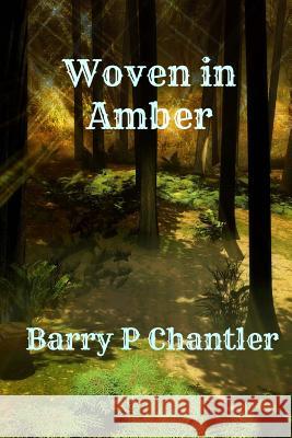 Woven in Amber MR Barry Chantler 9781499319910 Createspace