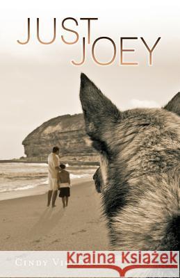 Just Joey Cindy Victor 9781499328028 Createspace