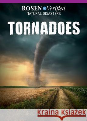 Tornadoes Kathleen A. Klatte 9781499469615 Rosen Young Adult