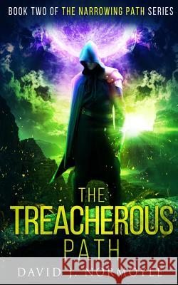 The Treacherous Path MR David J. Normoyle 9781499528268 Createspace Independent Publishing Platform