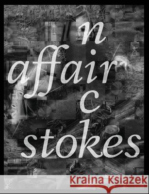 Affair Nick Stokes 9781499578737 Createspace