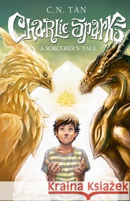 Charlie Sparks: A Sorcerer's Tale C. N. Tan 9781499621877 Createspace