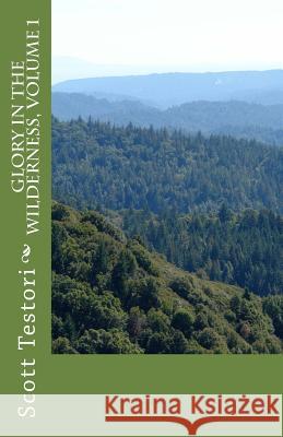 Glory In The Wilderness, Volume 1 Testori, Scott 9781499631722 Createspace