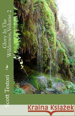 Glory In The Wilderness, Volume 2 Testori, Scott 9781499643152 Createspace