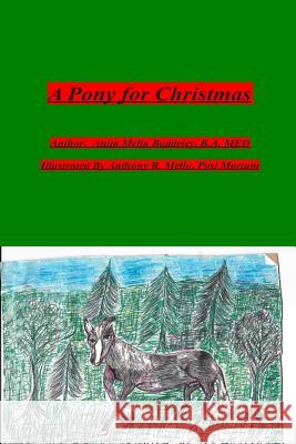 A Pony for Christmas: Memories of My Dad and Grandfathers MS Anita Mello Baddeley 9781499666076 Createspace