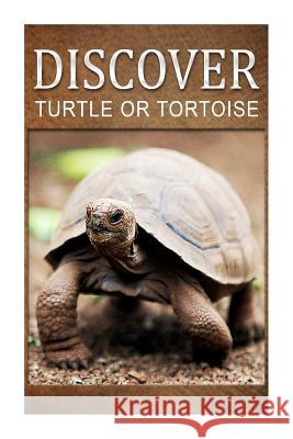 Turtle Or Tortoise - Discover: Early reader's wildlife photography book Press, Discover 9781499678413 Createspace