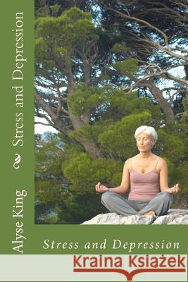 Stress and Depression: A Mother's Success Story Coping with Stress, Depression and Stigmas Alyse King 9781499693270 Createspace