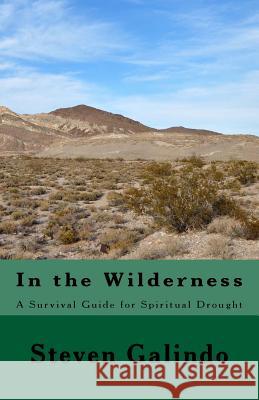 In the Wilderness: A Survival Guide for Spiritual Drought Steven Galindo 9781499709544 Createspace