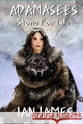 Stone for Life: Adamasees Ian James Jesuka 9781499711639 Createspace