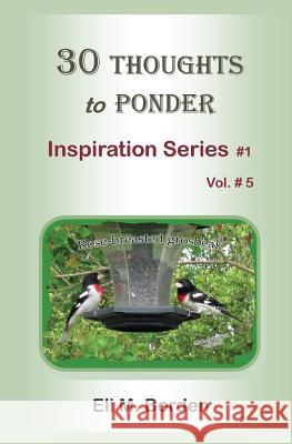 30 Thoughts to Ponder: Inspiration Series # 1 Eli M. Borde Wilsie Borden 9781499730999