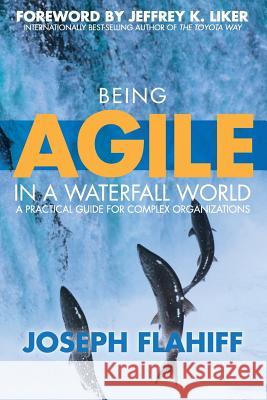 Being Agile in a Waterfall World: A practical guide for complex organizations Flahiff, Joseph 9781499772043 Createspace
