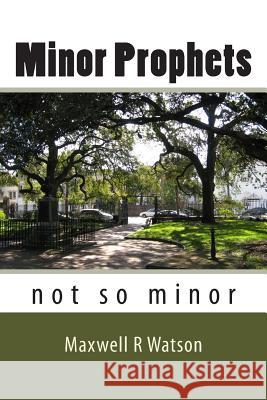 Minor Prophets: not so minor Watson, Maxwell R. 9781499772739 Createspace