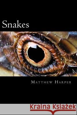 Snakes: A Fascinating Book Containing Snake Facts, Trivia, Images & Memory Recall Quiz: Suitable for Adults & Children Matthew Harper 9781499798784 Createspace