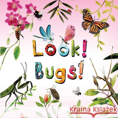 Look! Bugs! Stephanie Calmenson Jane Newland 9781499805437